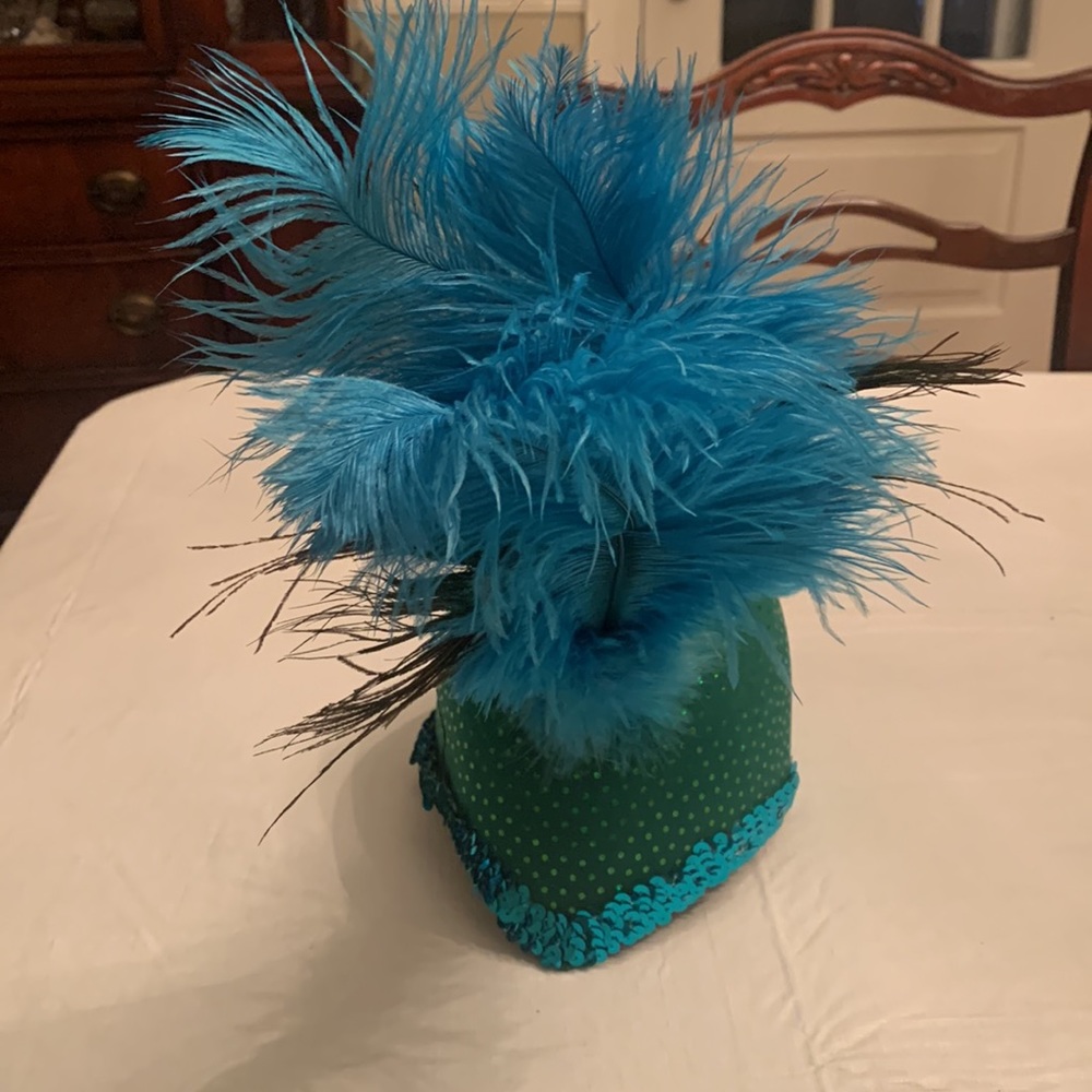 Chasing Fireflies Peacock Hat.
